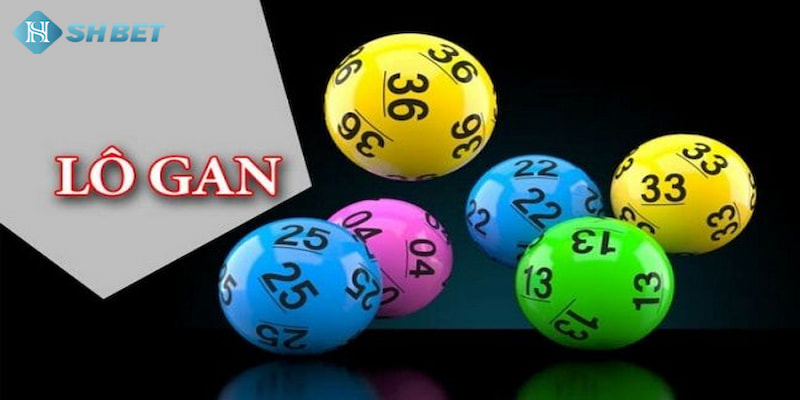 Banner www.onggiothaibinh.com.vn