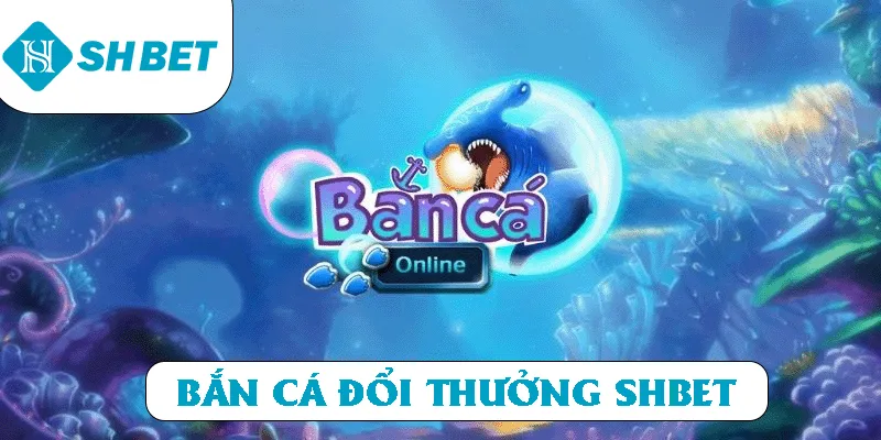 Banner www.onggiothaibinh.com.vn