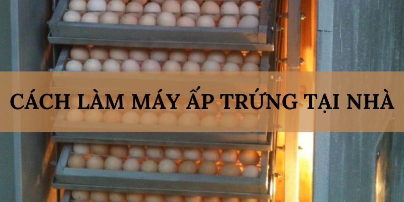 Banner www.onggiothaibinh.com.vn