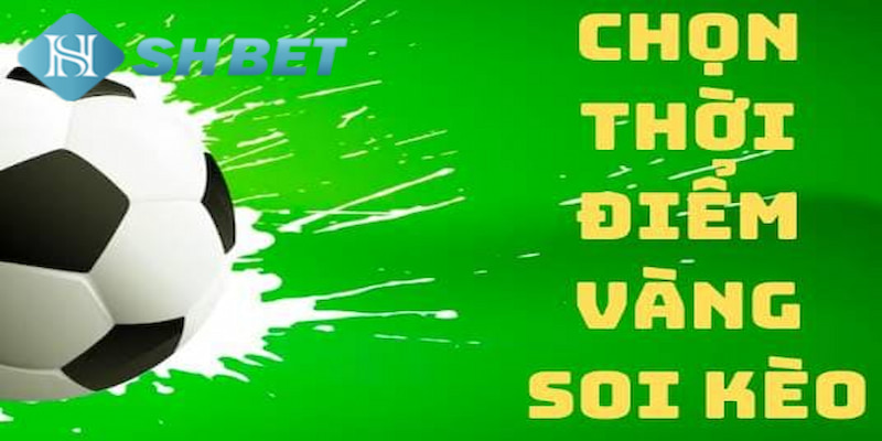 Banner www.onggiothaibinh.com.vn