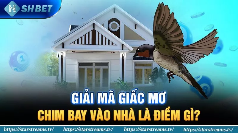 Banner www.onggiothaibinh.com.vn