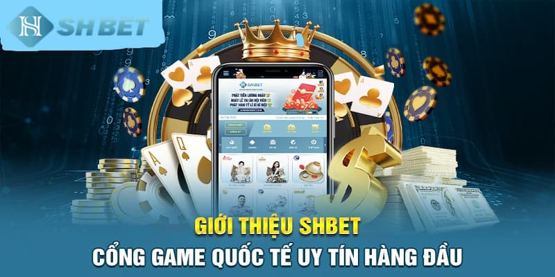 Banner www.onggiothaibinh.com.vn