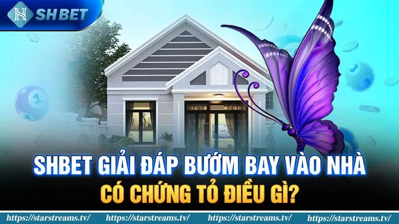 Banner www.onggiothaibinh.com.vn