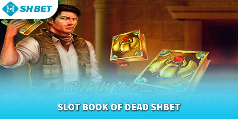 Banner www.onggiothaibinh.com.vn