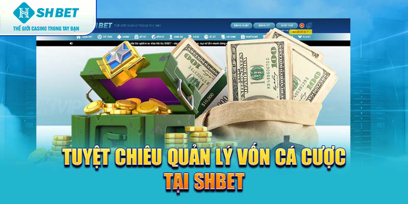 Banner www.onggiothaibinh.com.vn